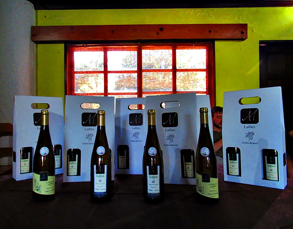 Read more about the article Sector vinícola não fica imune ao vírus.