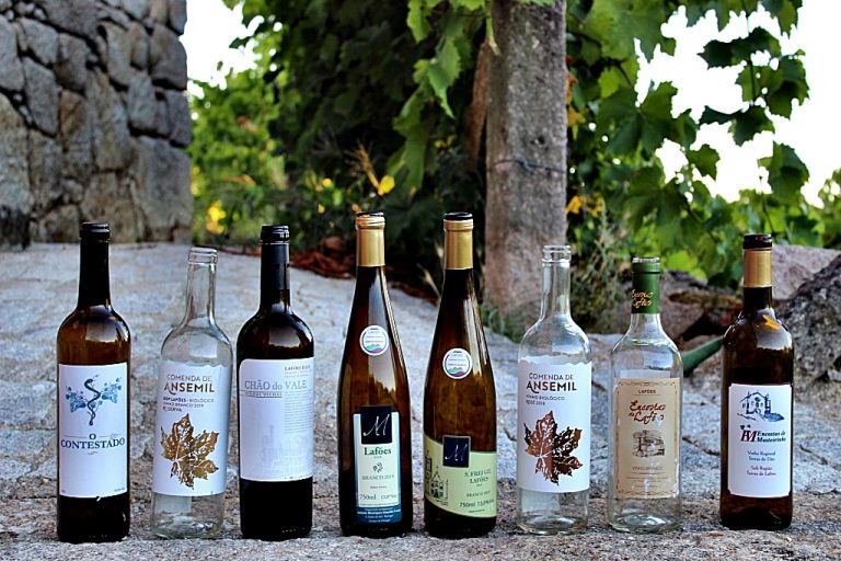 Read more about the article Vinhos de Lafões no Concurso de Vinhos de Portugal?