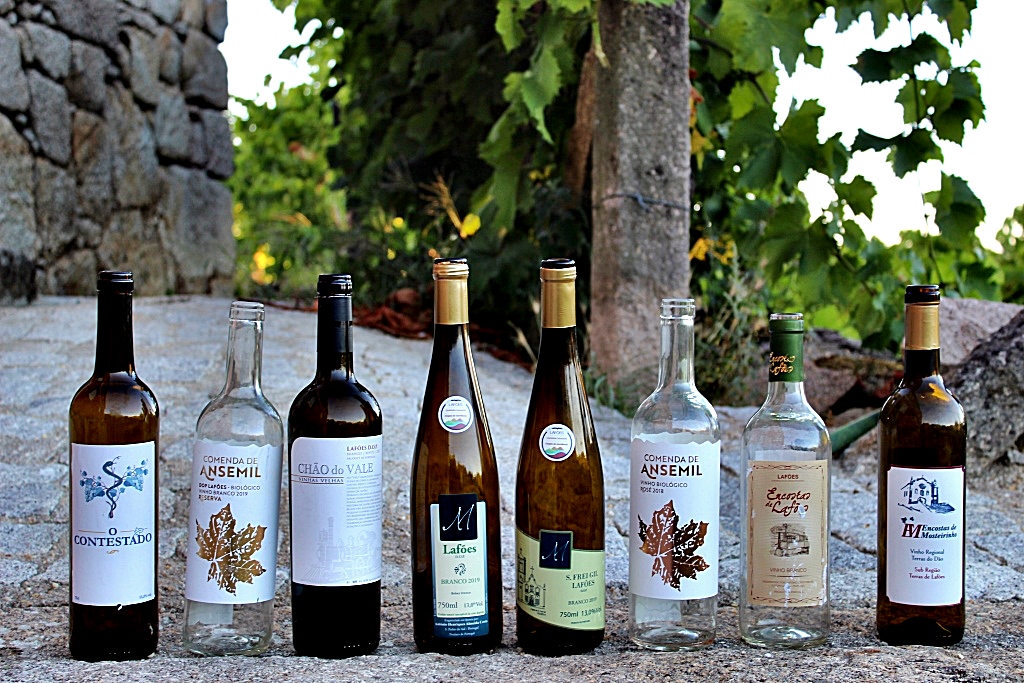 You are currently viewing Vinhos de Lafões no Concurso de Vinhos de Portugal?