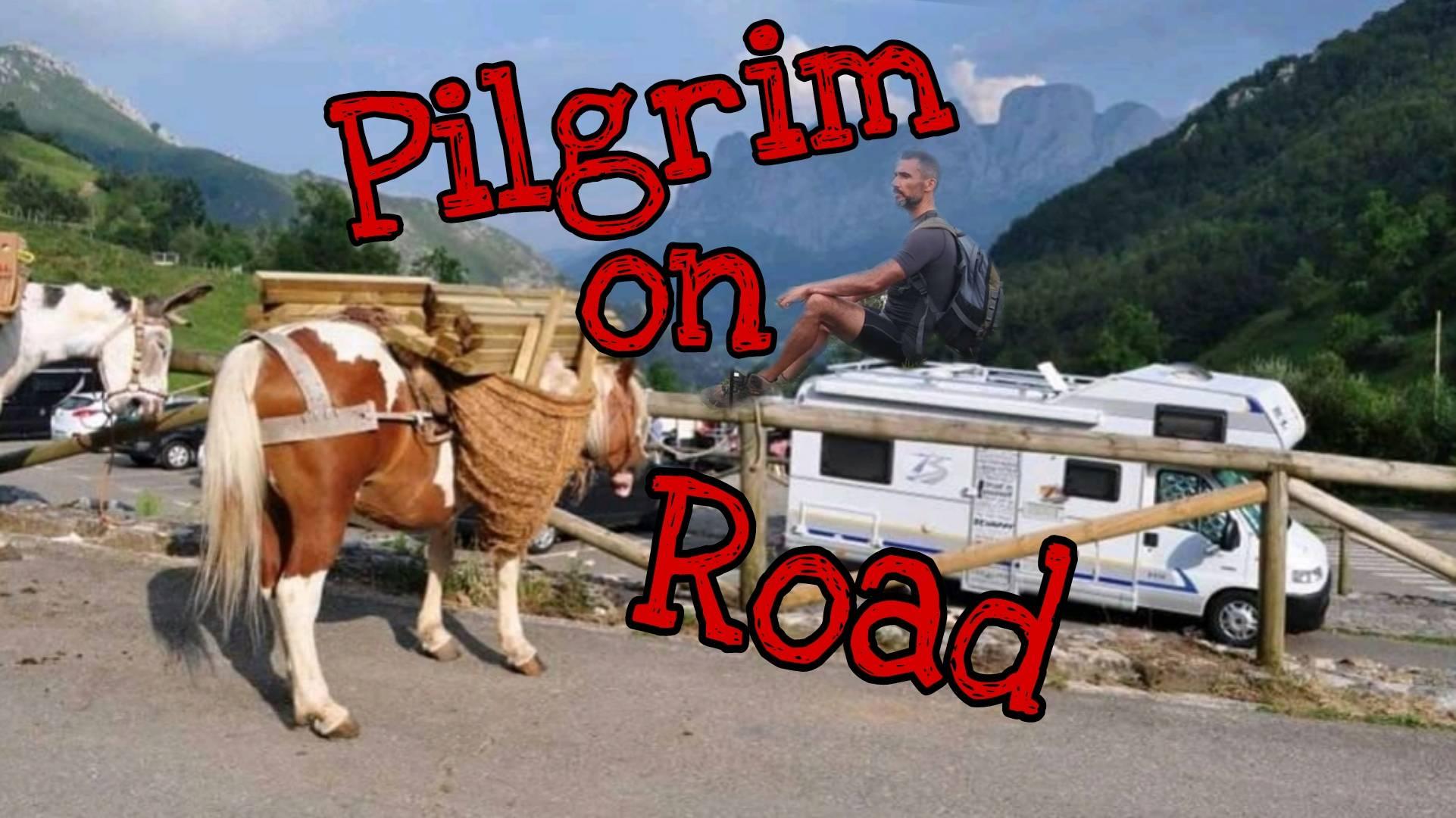 You are currently viewing Peregrino na estrada visitou Castro da Cárcoda