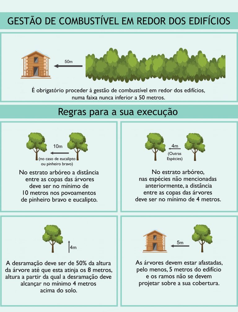 Read more about the article Gestão de Combustível em redor dos edifícios