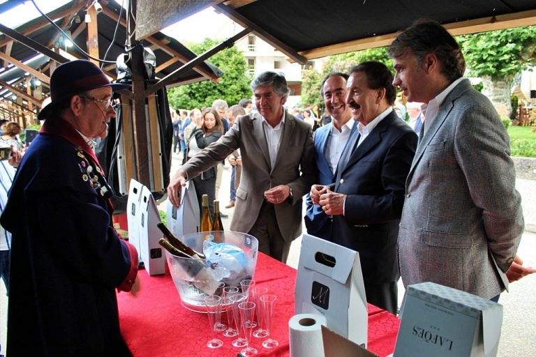 Read more about the article VII Festival Gastronómico da Vitela de Lafões em Vouzela