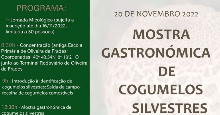 Read more about the article Mostra Gastronómica de Cogumelos Silvestres
