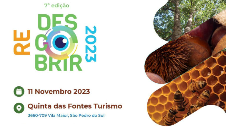 Read more about the article (RE)DESCOBRIR 2023